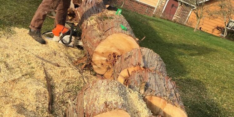 Storm Clean Up Services | Emergency Storm Tree Service Near Me