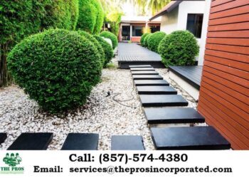 How to Choose a Professional Landscaping Near Me | The Pros Inc