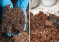 Garden Soil vs. Potting Soil: What's the Difference?