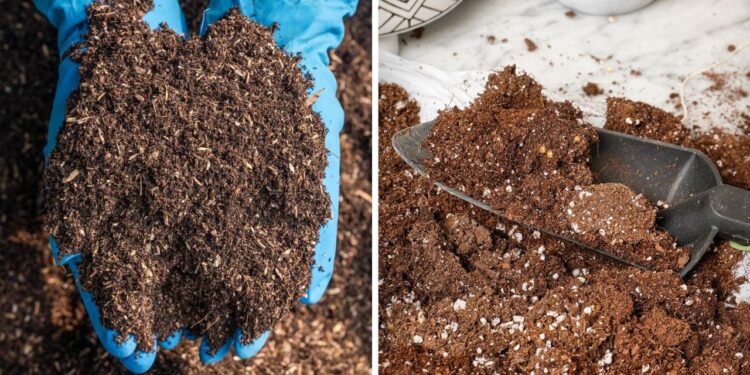Garden Soil vs. Potting Soil: What's the Difference?