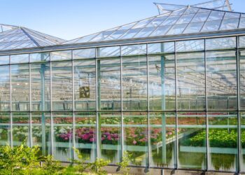 Our list of must have greenhouse supplies – Artofit