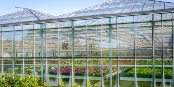 Our list of must have greenhouse supplies – Artofit