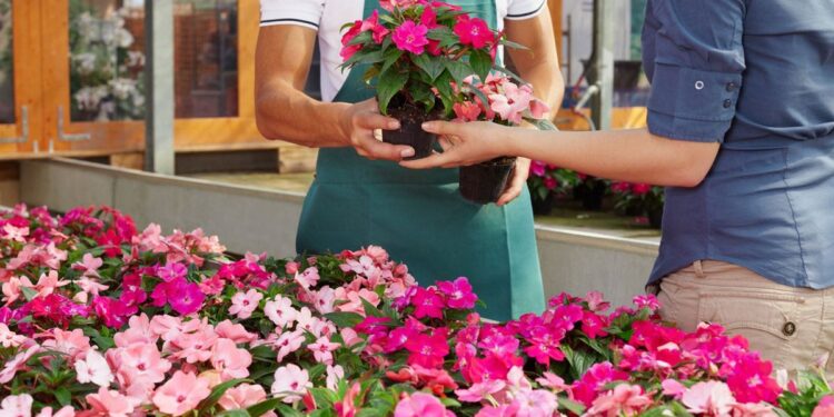 Hummert International on LinkedIn: Strategic Planning for Commercial ...