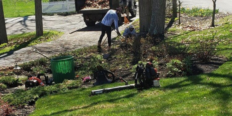 Spring Yard Work Cleaning