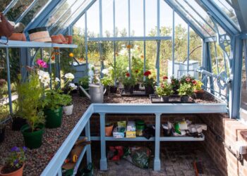 10x12 Greenhouse Shelving Ideas 7 Creative Shelving Ideas To Transform