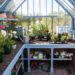 10x12 Greenhouse Shelving Ideas 7 Creative Shelving Ideas To Transform